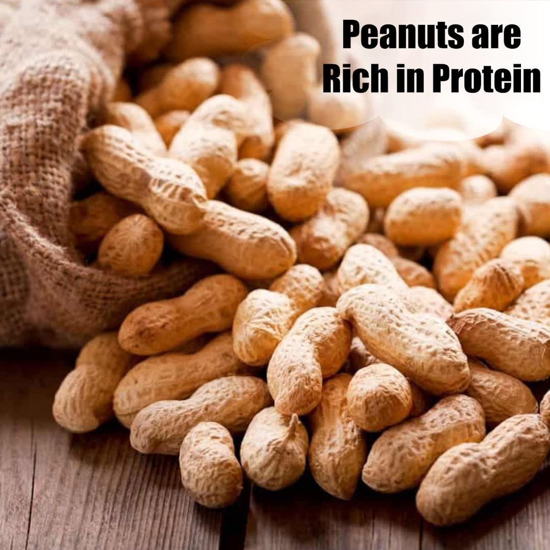 Wildlife in-Shell Peanuts, 25 lbs for Birds, Squirrels, and Wildlife. USA Grown Non-GMO, Organic