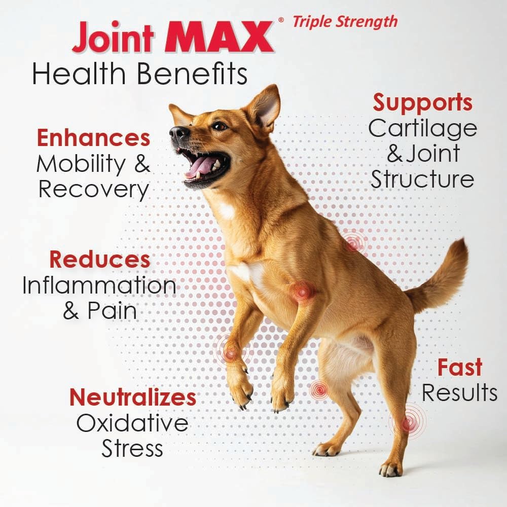 PHS Joint MAX Triple Strength (TS) Soft Chews for Dogs - Glucosamine, Chondroitin, MSM, Turmeric