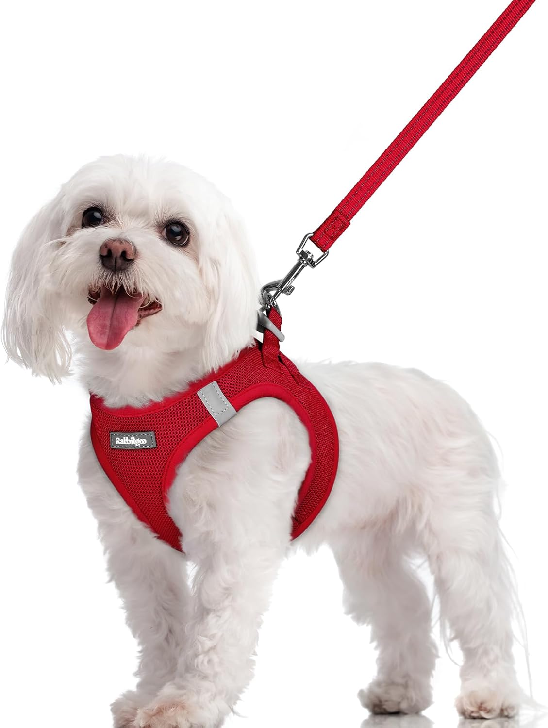 rabbitgoo Dog Harness Small Sized and Leash Set, Step in Soft Light Puppy Vest, Breathable Mesh Pet