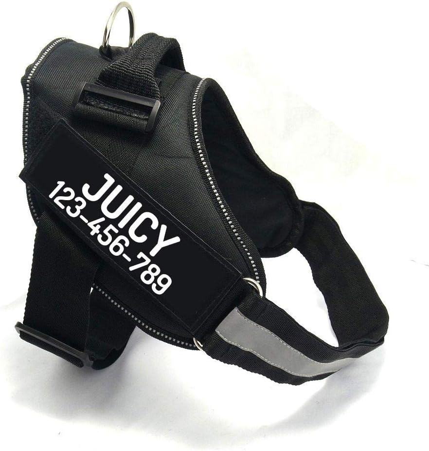 PawPawify Custom No Pull Dog Harness with Name and Phone Number, Heavy Duty Personalized Pet Vest