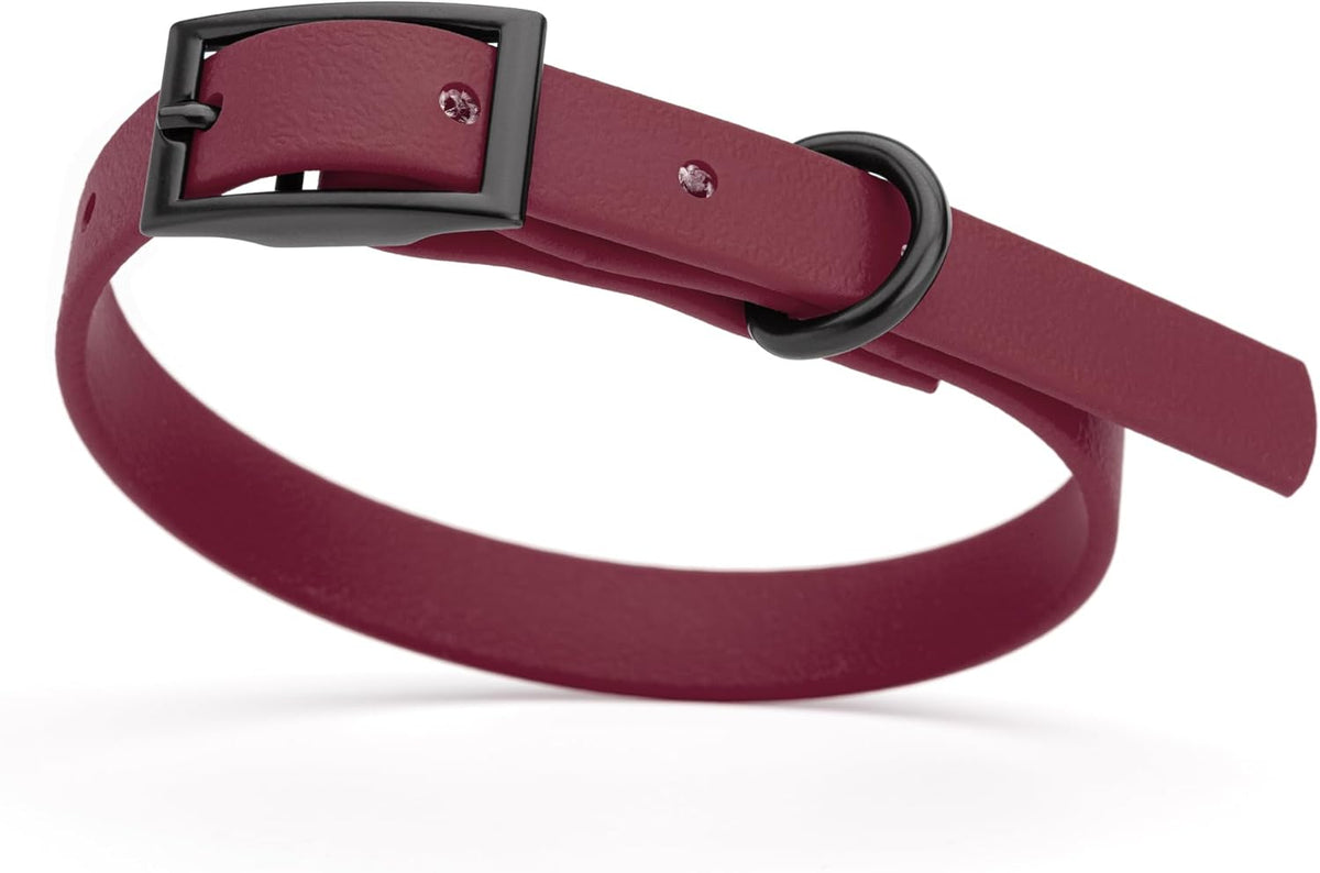Dogline Biothane Waterproof Dog Collar Strong Coated Nylon Webbing with Black Hardware Odor- Proof
