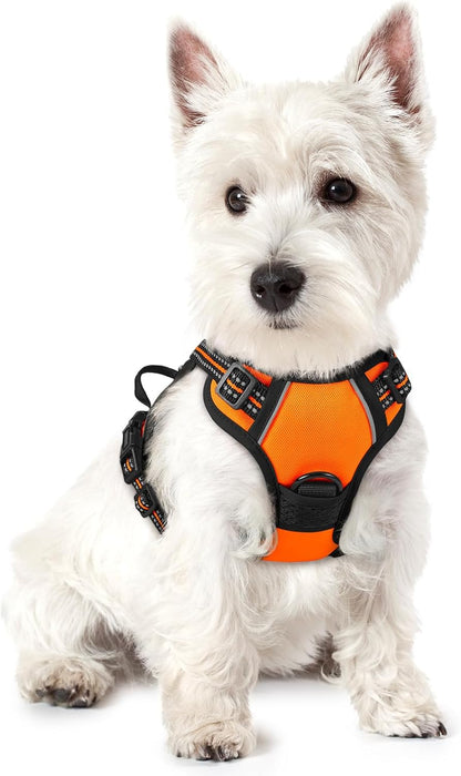 rabbitgoo Dog Harness No Pull with 2 Leash Clips, Adjustable Soft Padded, Reflective Oxford No