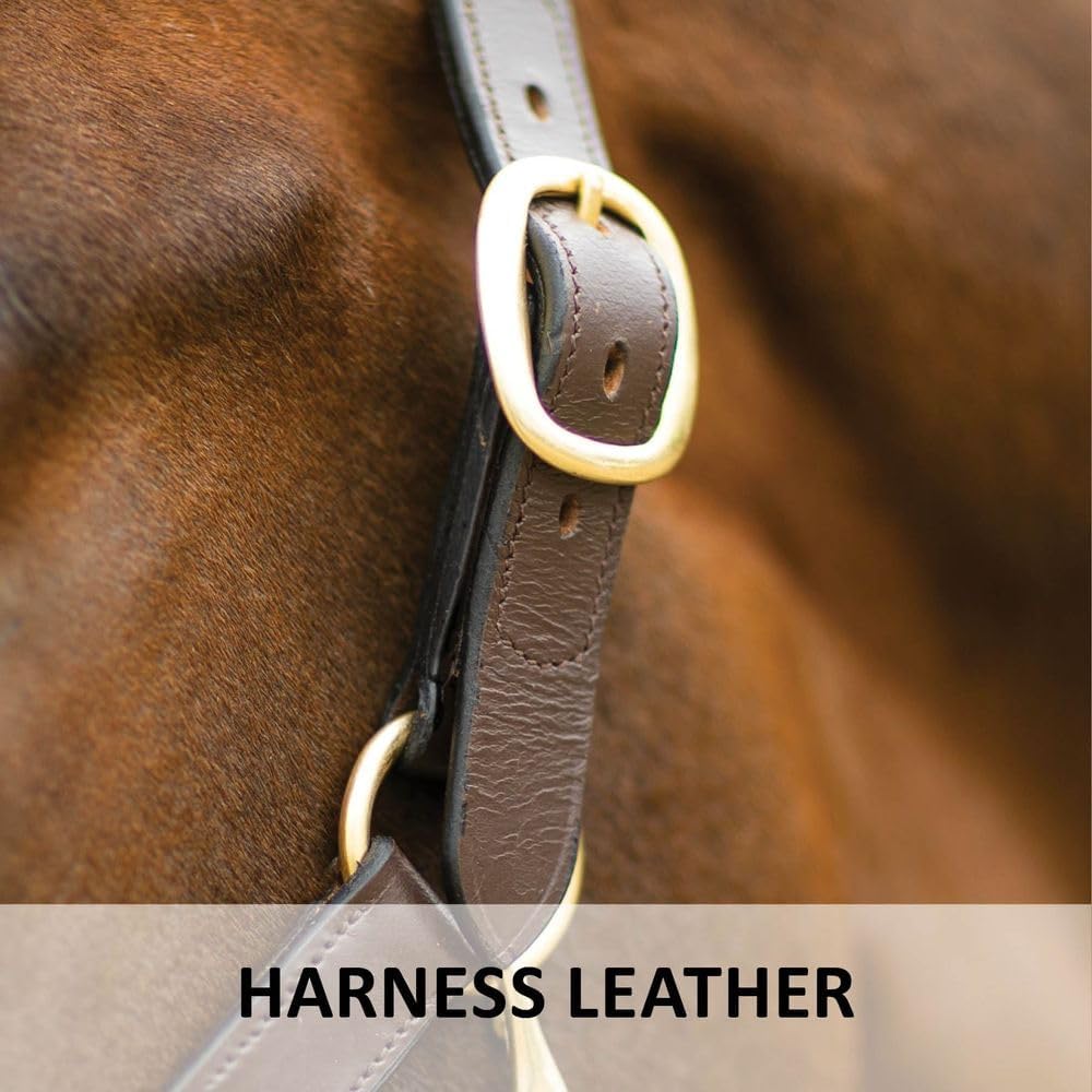 Dura-Tech Premier Lancaster Leather Halter for Horses | Simple Economy Leather Halter with