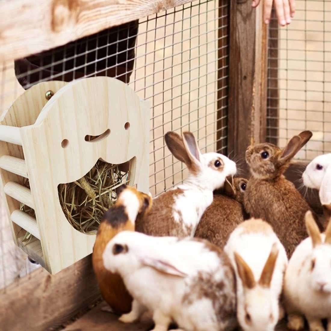 kathson Rabbit Hay Feeder Rack Wood Grass Holder Less Wasted Hay Box Food Feeding Manger Hanging