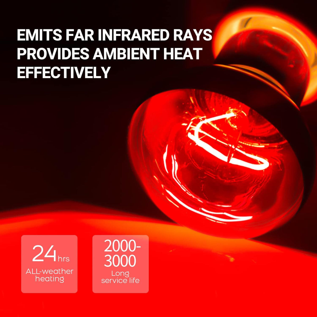 REPTIZOO 75W Reptile Heat Lamp Bulb, 2PCS Day & Night Basking Spot Light Combo Pack Includes
