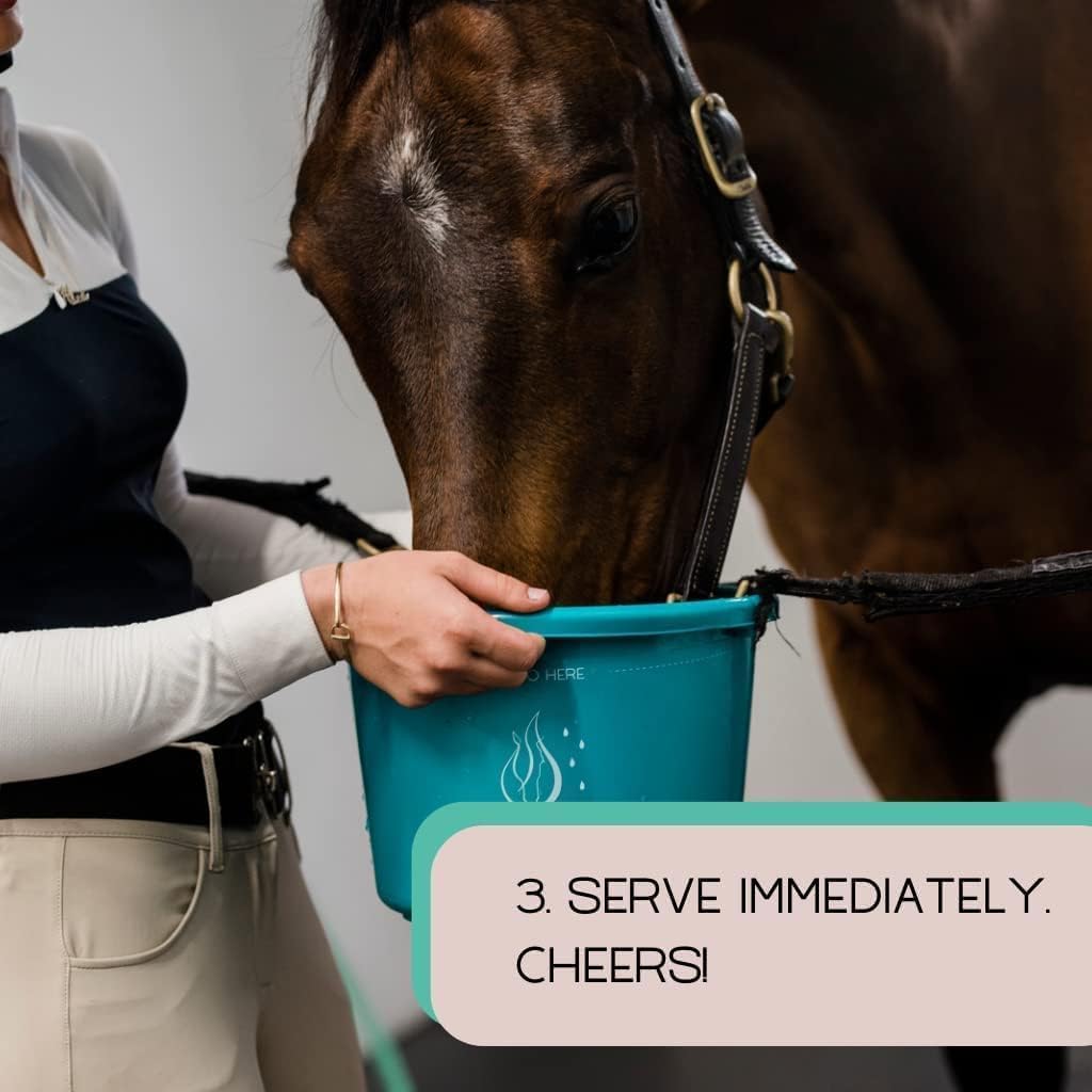 Gallagher's Water 12 Pack All-Natural Equine Hydration Treat - Enhancement Powder Mix Horse Drink