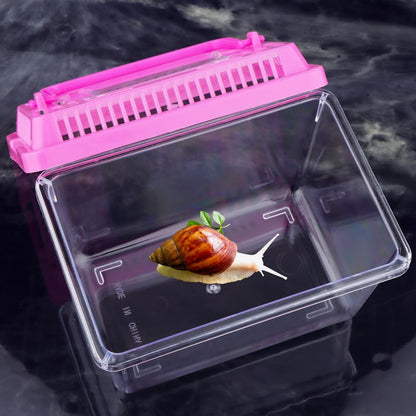 20 Pack Small Plastic Reptile Carrier Tarantula Enclosure Snake Breeding Box Hatching Container for