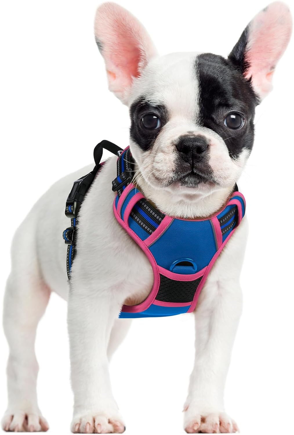 rabbitgoo Dog Harness No Pull with 2 Leash Clips, Adjustable Soft Padded, Reflective Oxford No