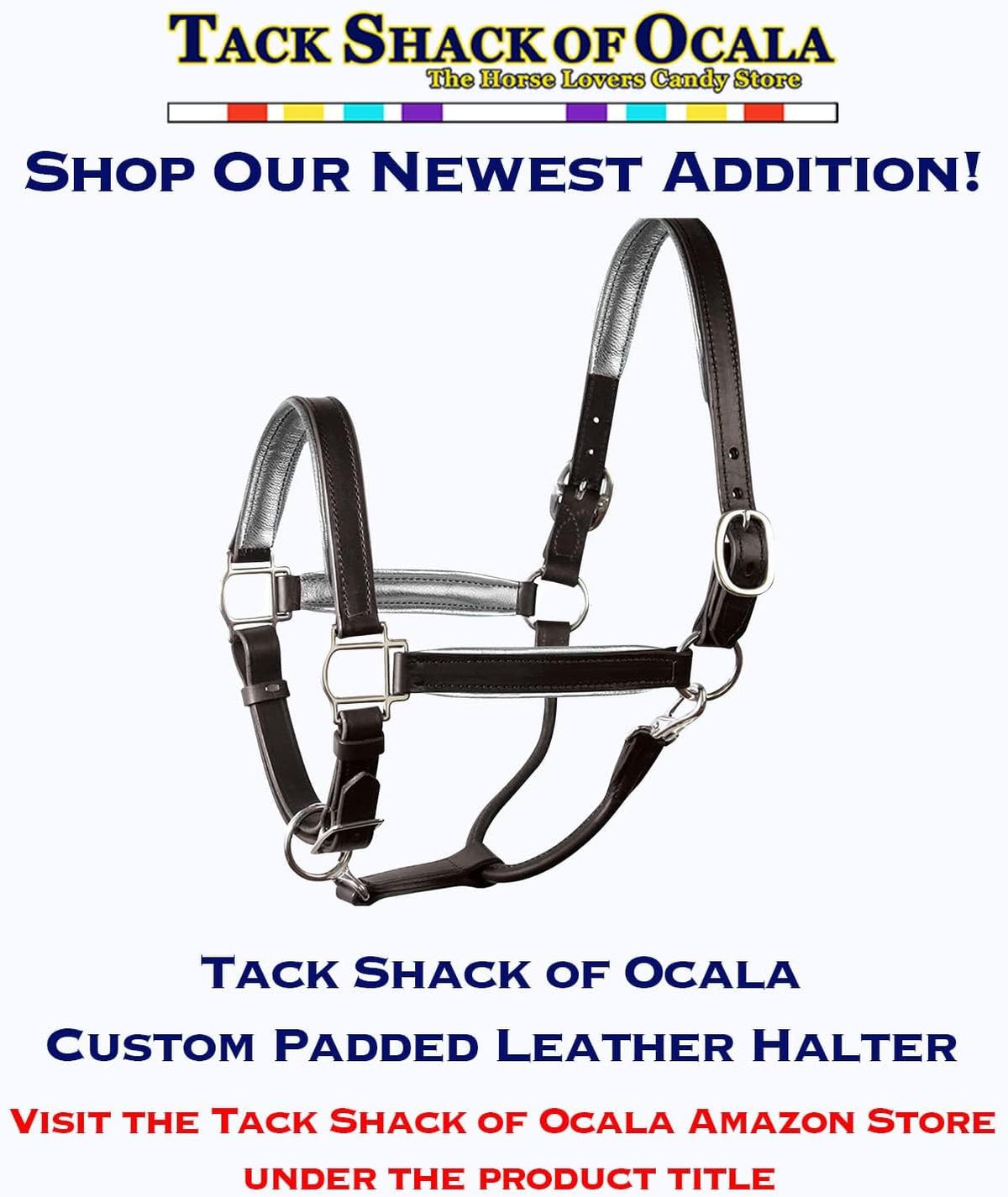Leather Halter for Horses with Customized Engraved Name Plate Option Halter for Horse |