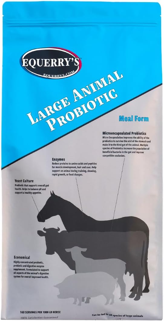 Equerry's Large Animal Probiotic | Supplements for Gut Health and Nutrient Absorption | Probiotics