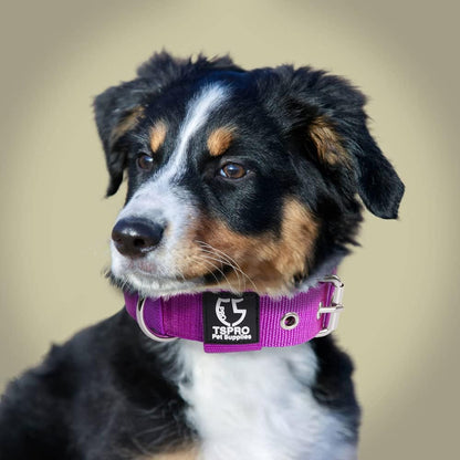 TSPRO Tactical Dog Collar 1.25 Inch Wide Thick Dog Collars with Heavy Duty Metal Buckle, Durable