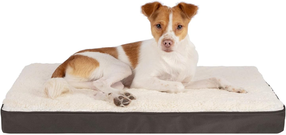 Best Pet Supplies Cute Dog Crate Mat Flat Bed with Waterproof Exterior, Thick Orthopedic Egg Foam