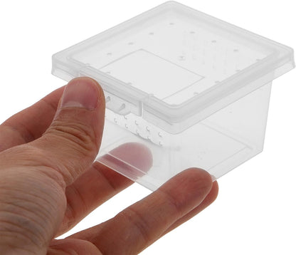 balacoo Reptile Feeding Box: 100Pcs Reptile Breeding Box Plastic Transparent Feeding Enclosure Case