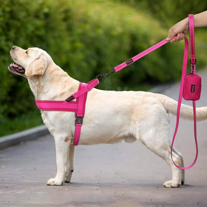 Didog No Pull Dog Harness with Soft Mesh Padded,Reflective & Quick Fit Light Weight Dog Strap Vest