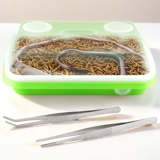 1 Pack Mealworms Breeding Kit Mealworms Keeper with 2 Pcs Insect Stainless Steel Tweezers to Breed