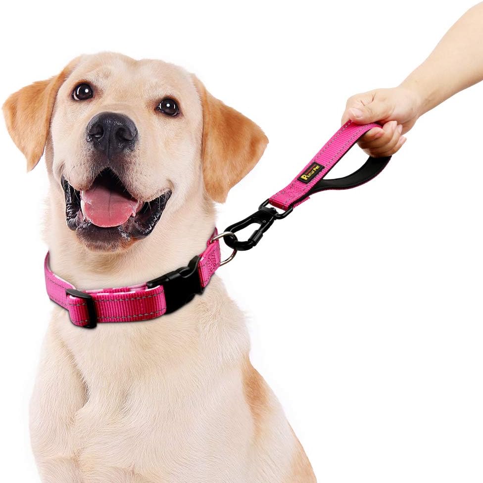 PLUTUS PET 10 Inch Short Dog Leash for Large Dogs with Locking Carabiner Clip & Padded Handle （10”