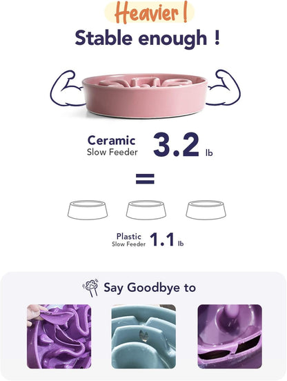 LE TAUCI Ceramic Slow Feed Dog Bowls, Elevated for Small and Medium Breed Dogs, Anti-Gulping Pet