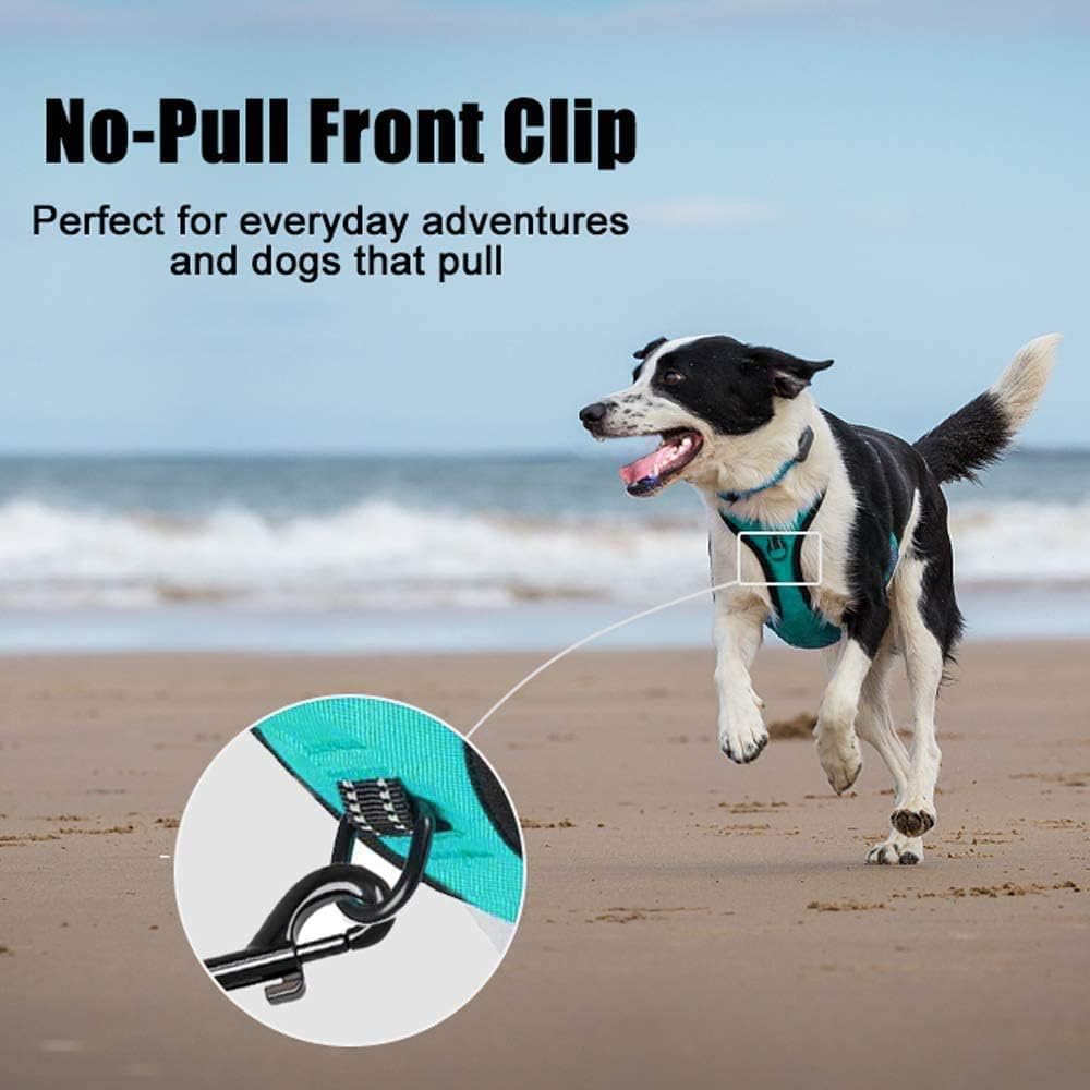 PoyPet No Pull Dog Harness, Reflective Comfortable Vest Harness with Front & Back 2 Leash