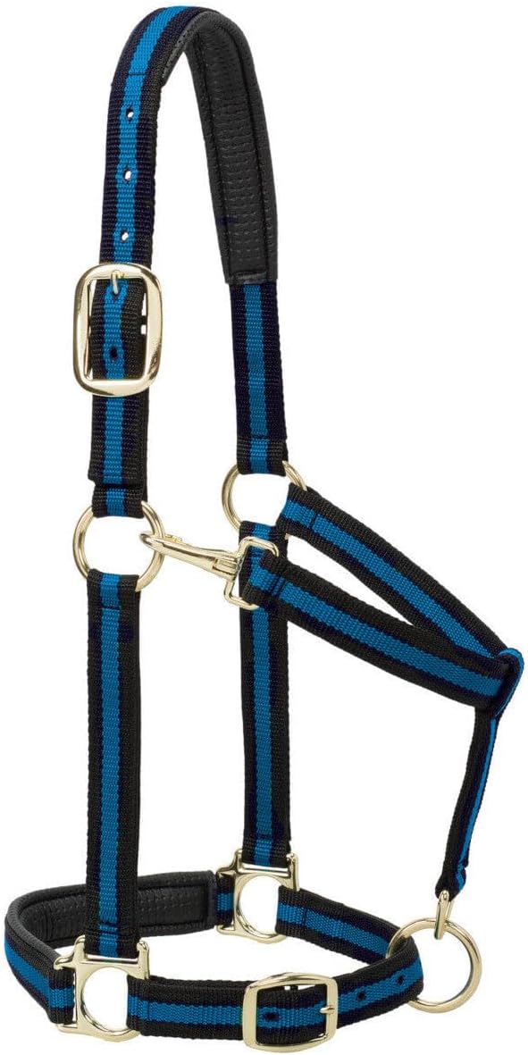 Weaver Leather Nylon Horse Halter, Padded and Adjustable, Chin and Throat Snap Hook Halters for