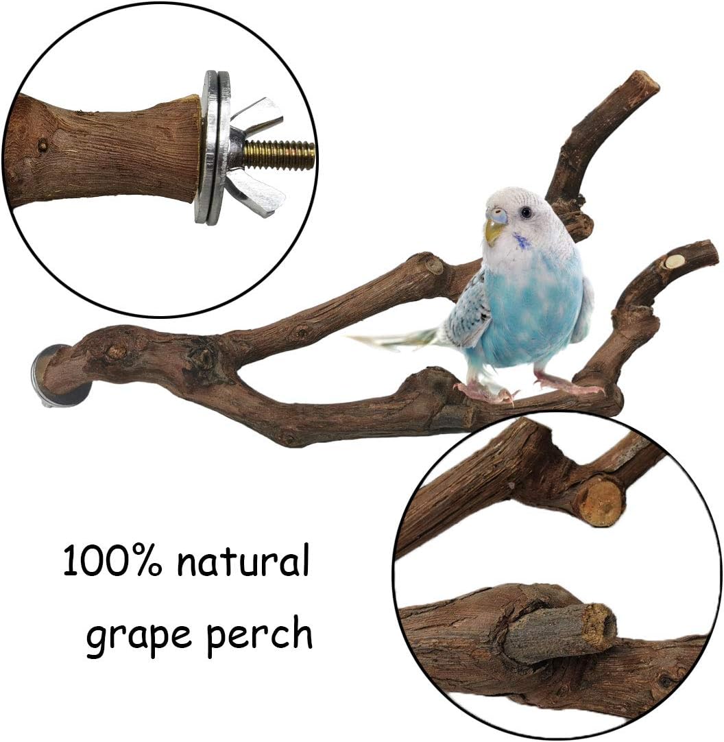PINVNBY Natural Parrot Perch Bird Stand Pole Wild Grape Stick Paw Grinding Fork Parakeet Climbing