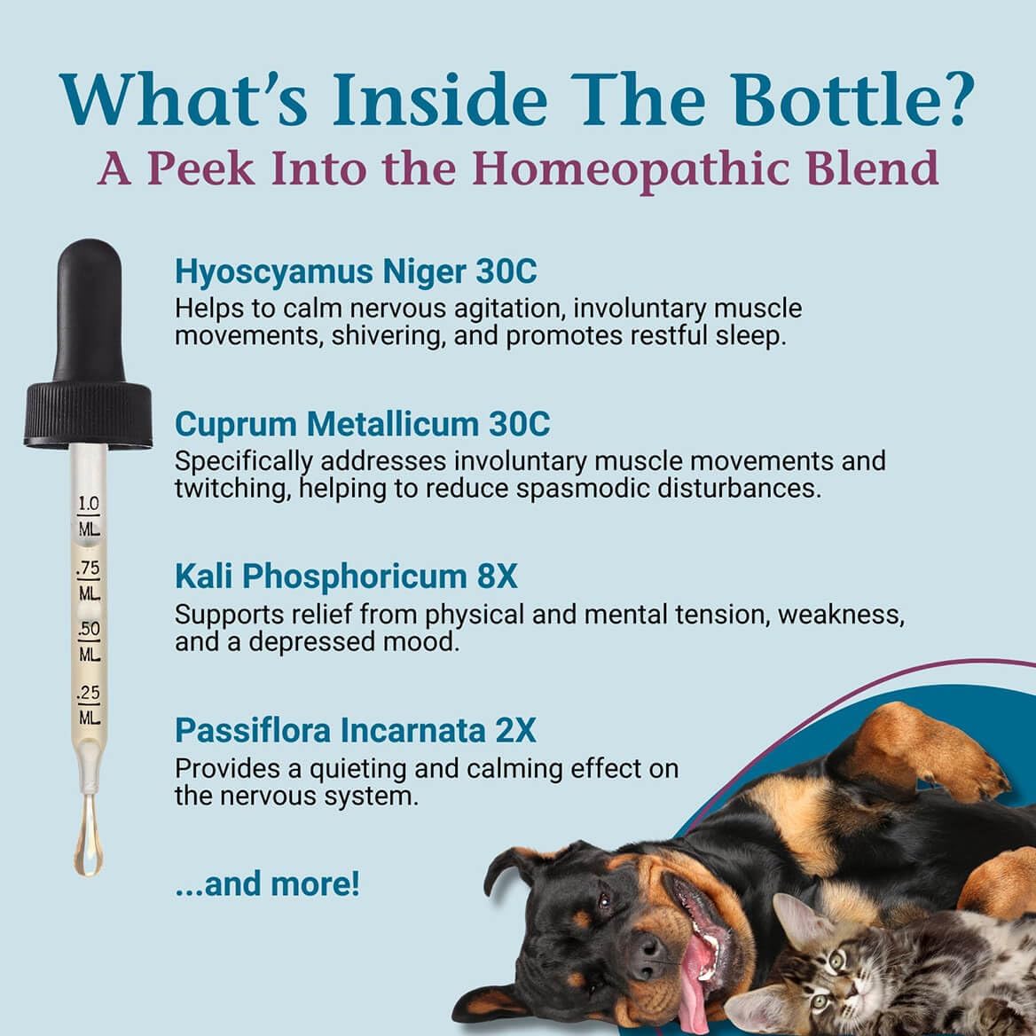 PetAlive EaseSure-M Calming Drops for Dogs and Cats – Natural Homeopathic Care for Nervous System
