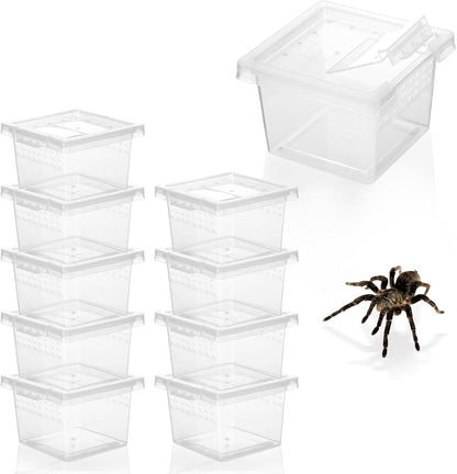 10Pcs Plastic Critter Keeper,Transparent Cricket Keeper for Reptiles,Mini Reptile Feeding Box Kids