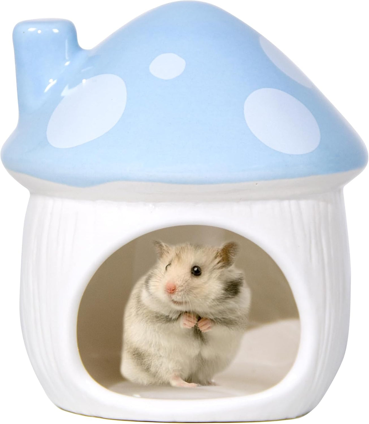 Ceramic Mushroom Hamster Hideout - Hamster Habitat for Hamsters Chinchillas Hedgehogs and Gerbils