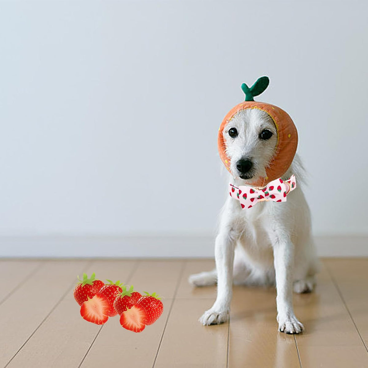 Elegant little tail Dog Collar, Strawberries Print Pet Collar Summer Dog Collar Durable Metal