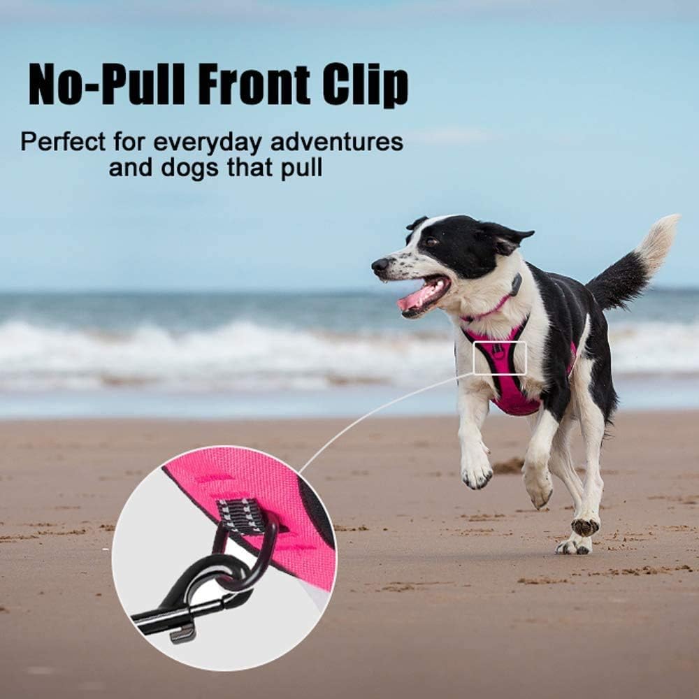 PoyPet No Pull Dog Harness, Reflective Comfortable Vest Harness with Front & Back 2 Leash