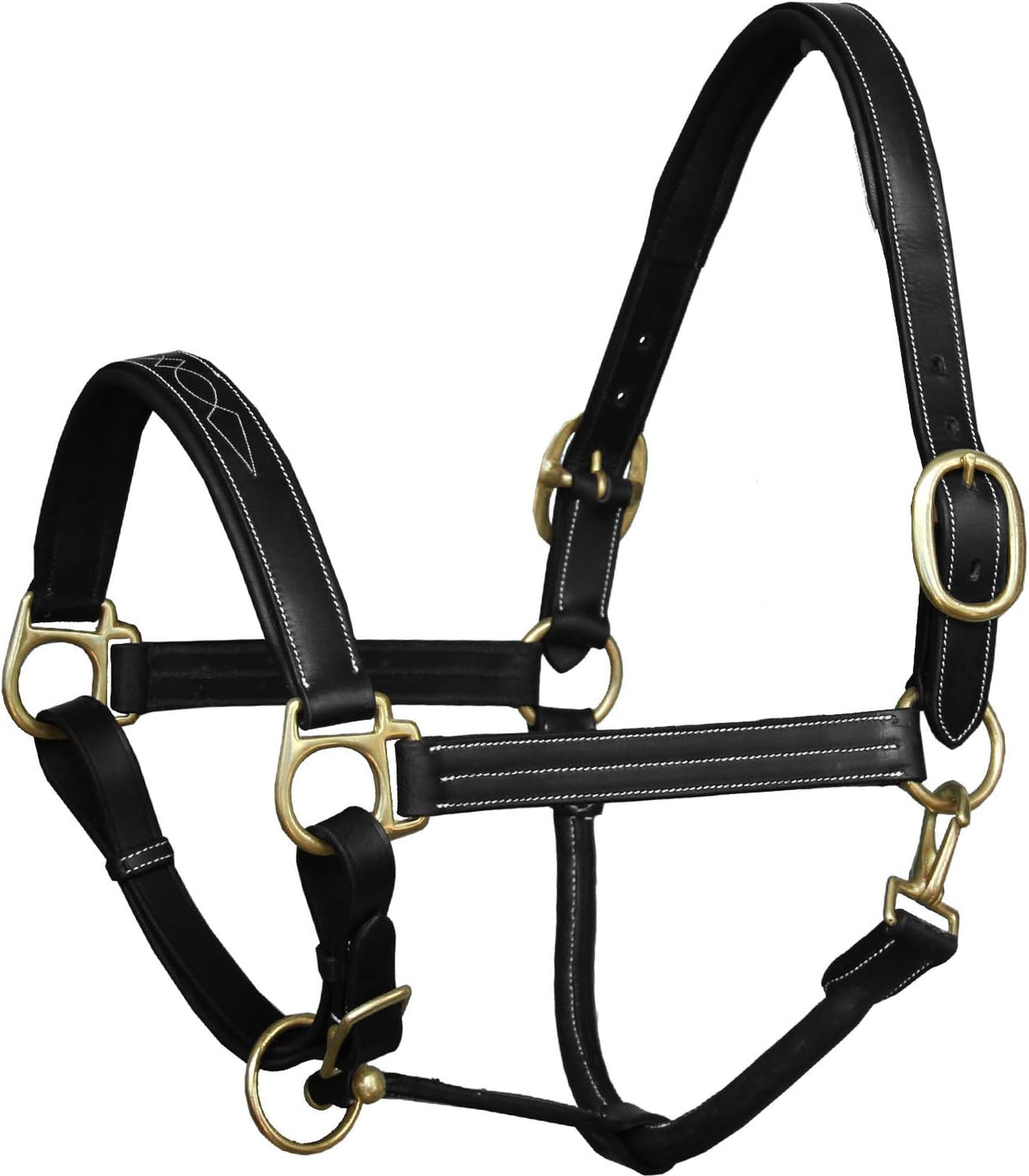 Exion Leather Horse Halter with Fancy Stitching | Black & Brown Padded Halter with Brass Hardware |