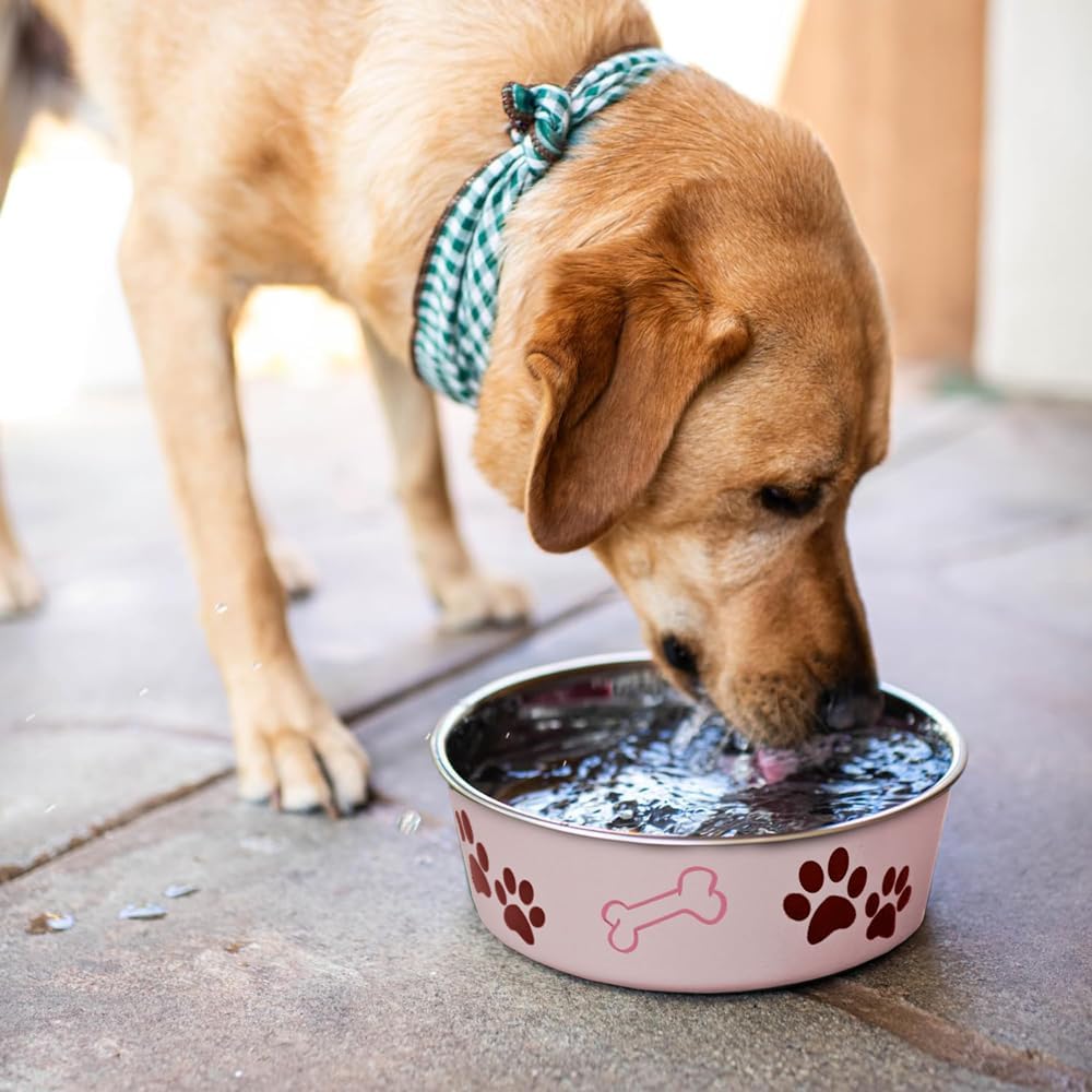 Loving Pets Bella Dog Bowls- Stainless Steel Dog & Cat Bowls - Spill Proof Dog Food Bowl, Cat Bowl