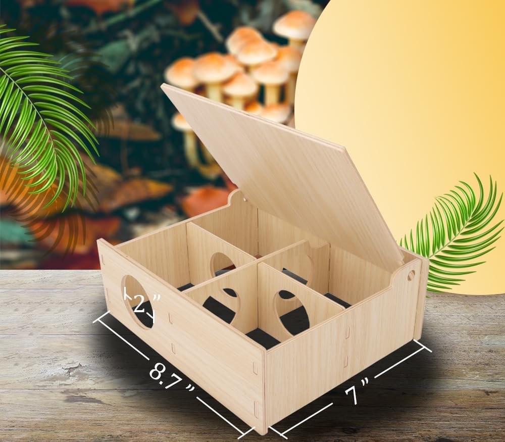 Hamster and Mouse Wooden Tunnel Cage Secret Peep Shed and Explore Hideout Flip Cover Design Hamster