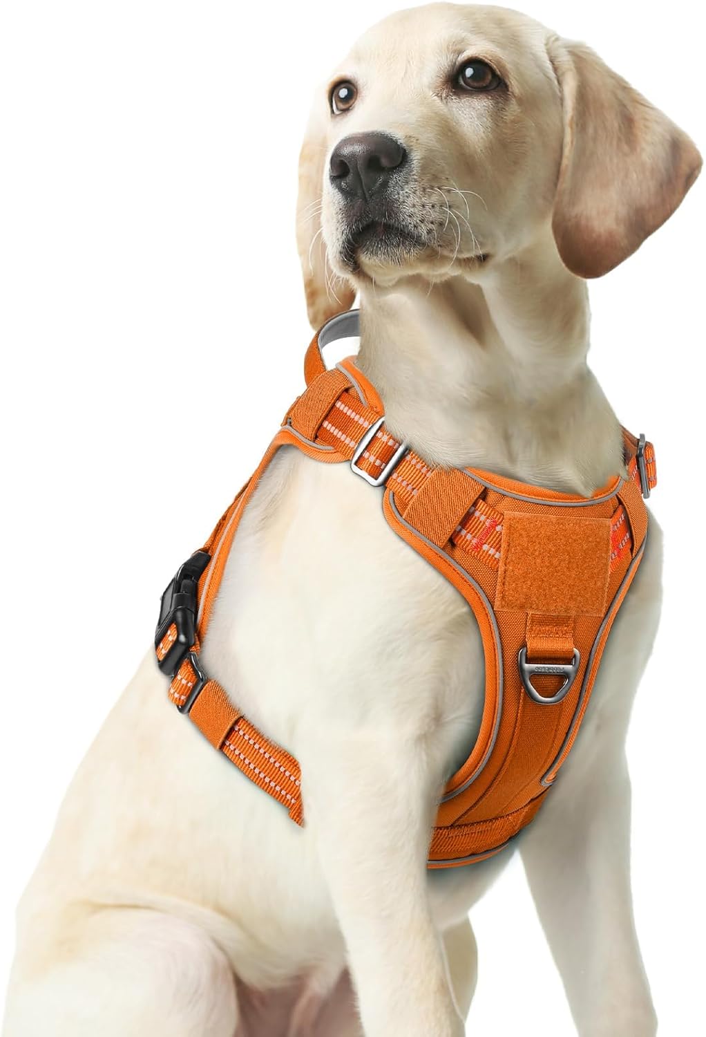 rabbitgoo Dog Harness Medium Sized No Pull, Tactical Service Pet Vest with Molle and Control