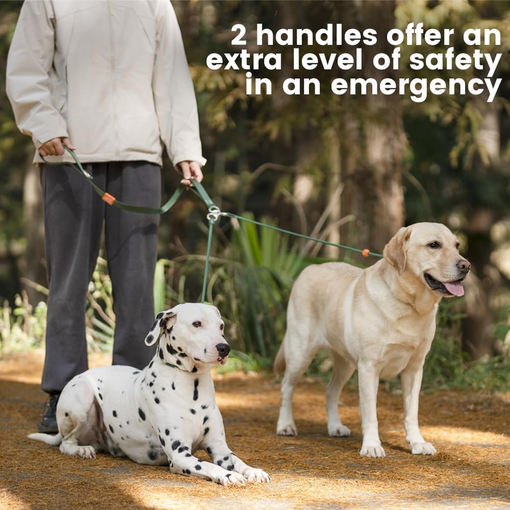 Howgo Double Slip Leash Slip Lead with Two Handles| Dual Dog Slip Lead for 2 Dogs,360° Swivel No