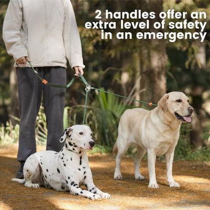 Howgo Double Slip Leash Slip Lead with Two Handles| Dual Dog Slip Lead for 2 Dogs,360° Swivel No