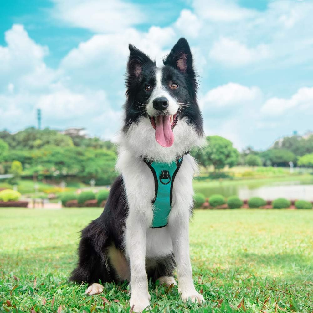 PoyPet No Pull Dog Harness, Reflective Comfortable Vest Harness with Front & Back 2 Leash