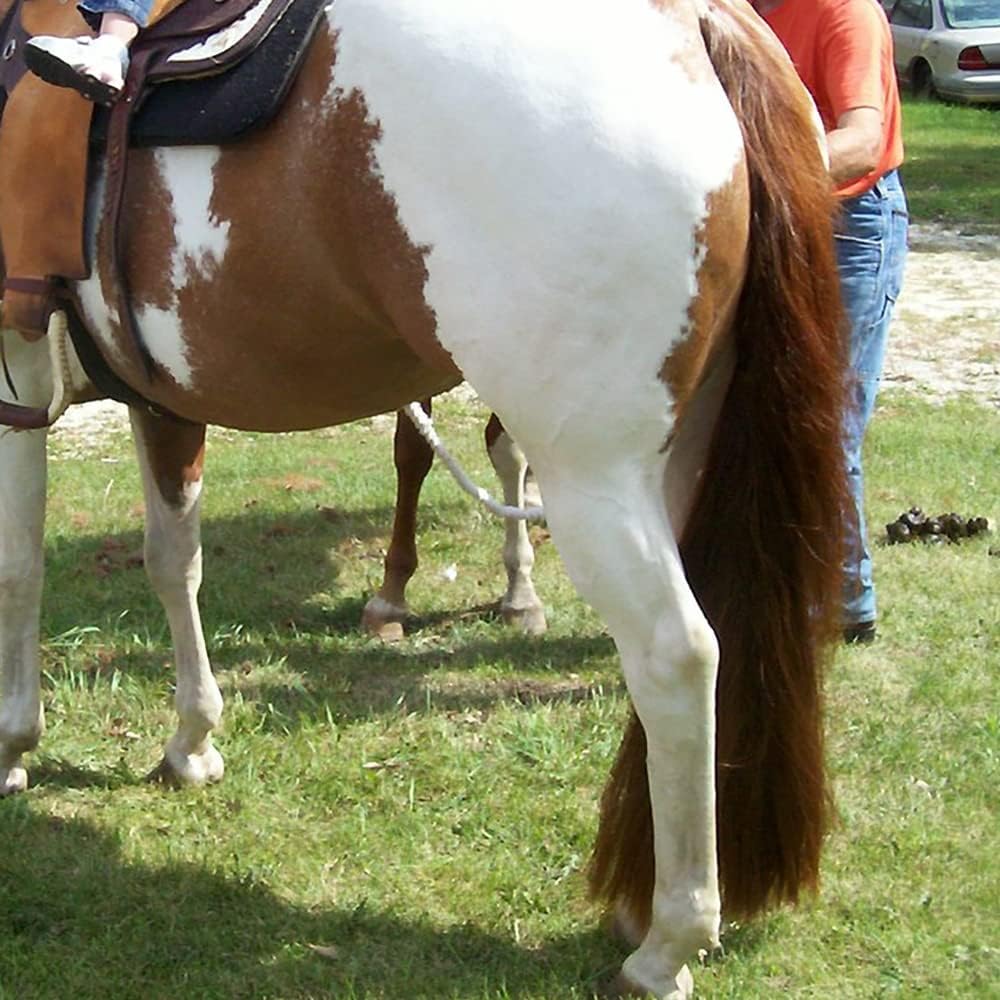 Horse Tail Extensions with Braided Horsehair Loop, Blunt Cut Bottom, 28-30 inches Long and 3/8 lb