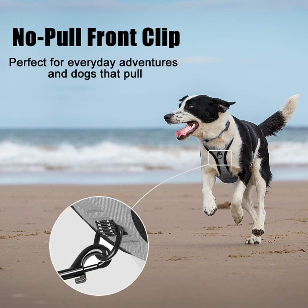 PoyPet No Pull Dog Harness, Reflective Comfortable Vest Harness with Front & Back 2 Leash