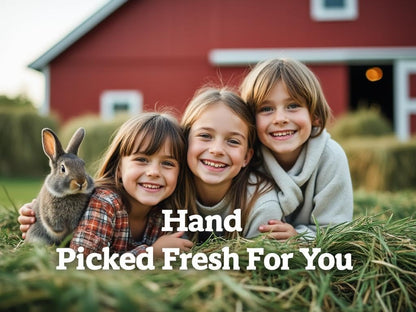 Blue Mountain Hay | Fresh Timothy Hay (10 Pounds) | Great for All Ages | High-Altitude Hay Pet Food