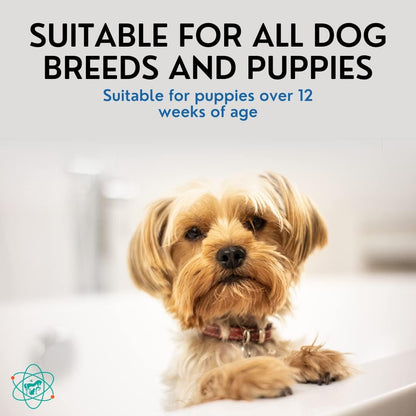 Gallon Bottle 5 in 1 Dog Shampoo for Itchy Skin - Sensitive Skin Dog Shampoo for Smelly Dogs - Dog