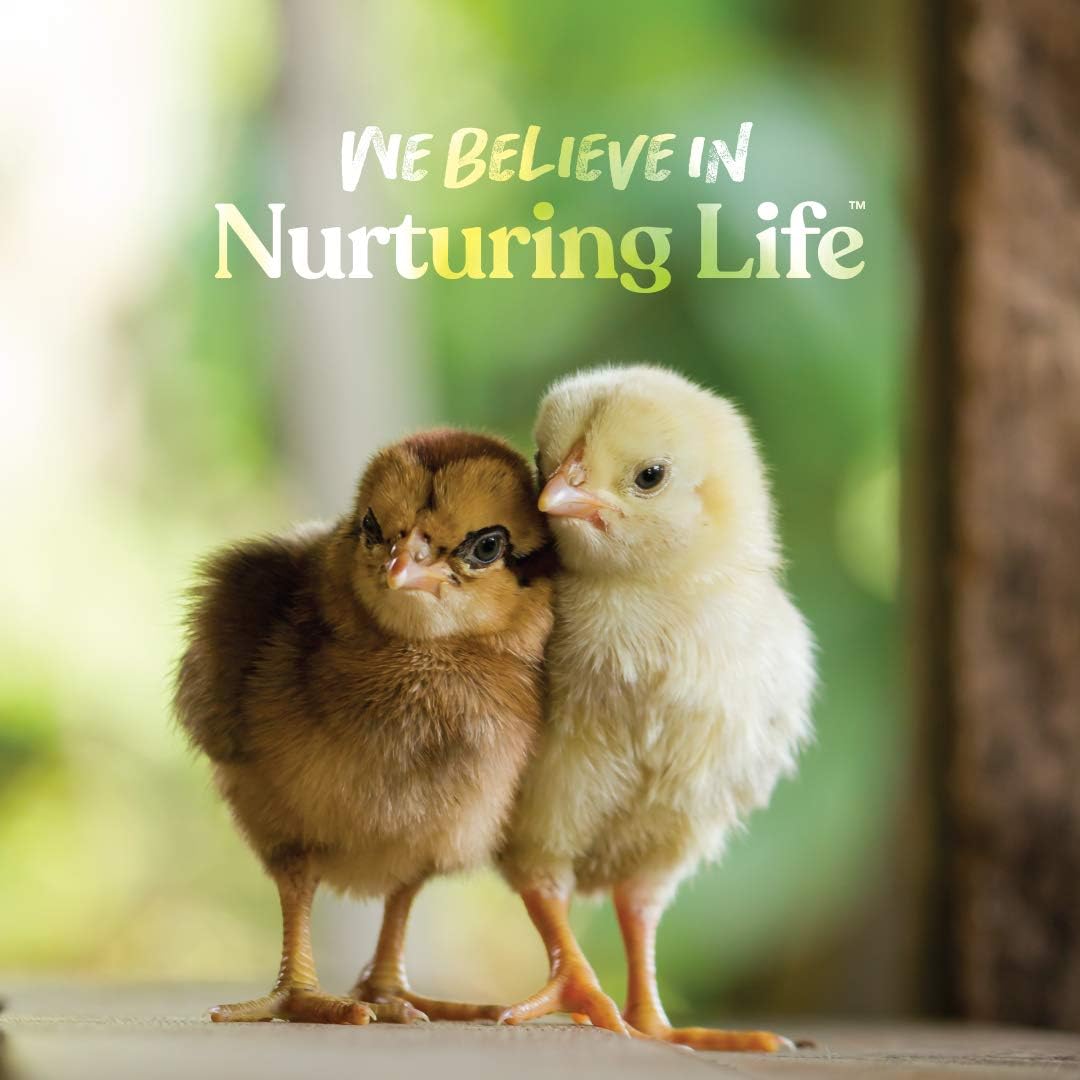 Manna Pro Chick Grit, Digestive Supplement for Young Poultry and Bantam Breed, Probiotics to