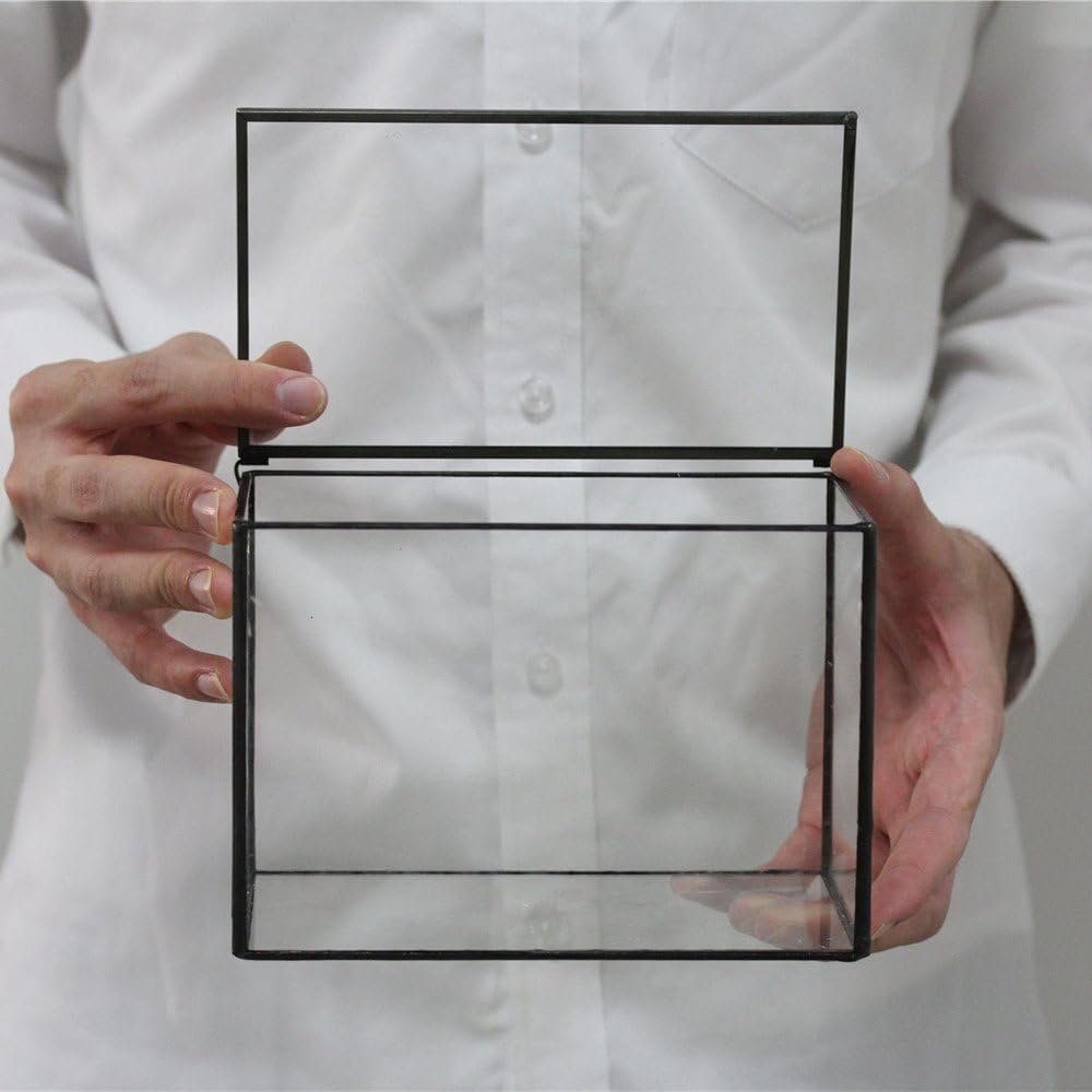 NCYP Small Rectangle Glass Terrarium Planter with Lid, 6.7 x 4 x 4.8 Inches Clear Black Geometric