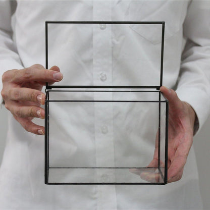 NCYP Small Rectangle Glass Terrarium Planter with Lid, 6.7 x 4 x 4.8 Inches Clear Black Geometric