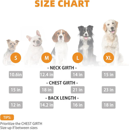 KOOLTAIL Dachshund Dog Hoodie - Soft and Warm Dogs Hoodie Sweater with Leash Hole and Pocket, Pet