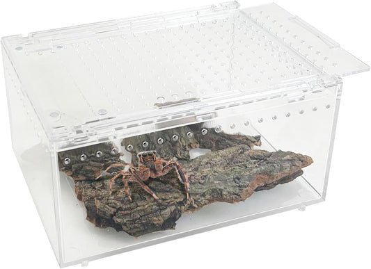 Acrylic Tarantula Enclosure Box No Assembly Reptile Terrarium 8x6x4in Transparent Sling Cage