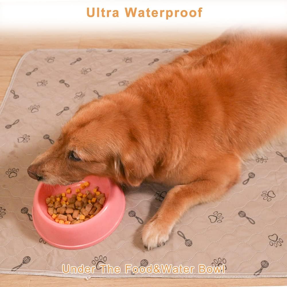 Peepeego 2Pack Pee Pads for Dogs Reusable+Free Dog Comb, Waterproof Rug 36”x48, Absorbent Puppy