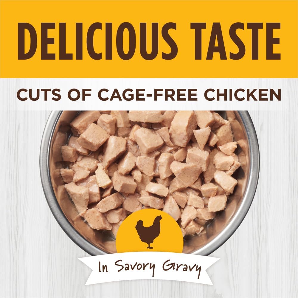 Instinct Healthy Cravings Grain Free Real Chicken Recipe Natural Wet Cat Food Topper by Nature's