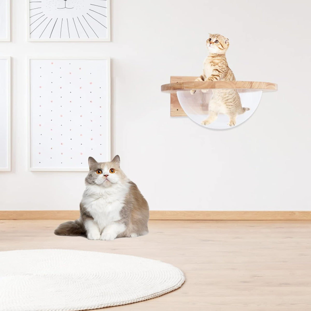 Wooden Cat Hammock, Clear Space Capsule Cat Bed, Wall-Mounted Kitten Walls Shelves Kitty Beds Small