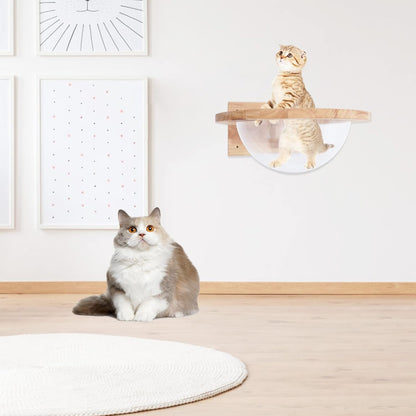 Wooden Cat Hammock, Clear Space Capsule Cat Bed, Wall-Mounted Kitten Walls Shelves Kitty Beds Small