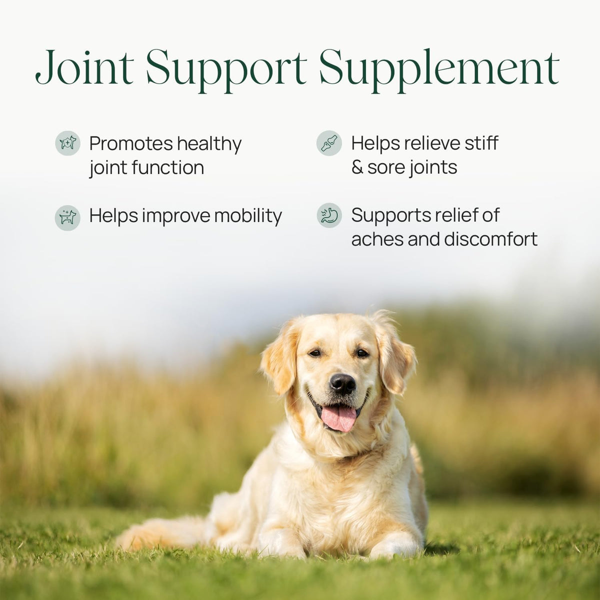 pawTree Joint & Hip Support Supplement for Dogs & Cats with Glucosamine, Chondroitin, MSM, Tumeric